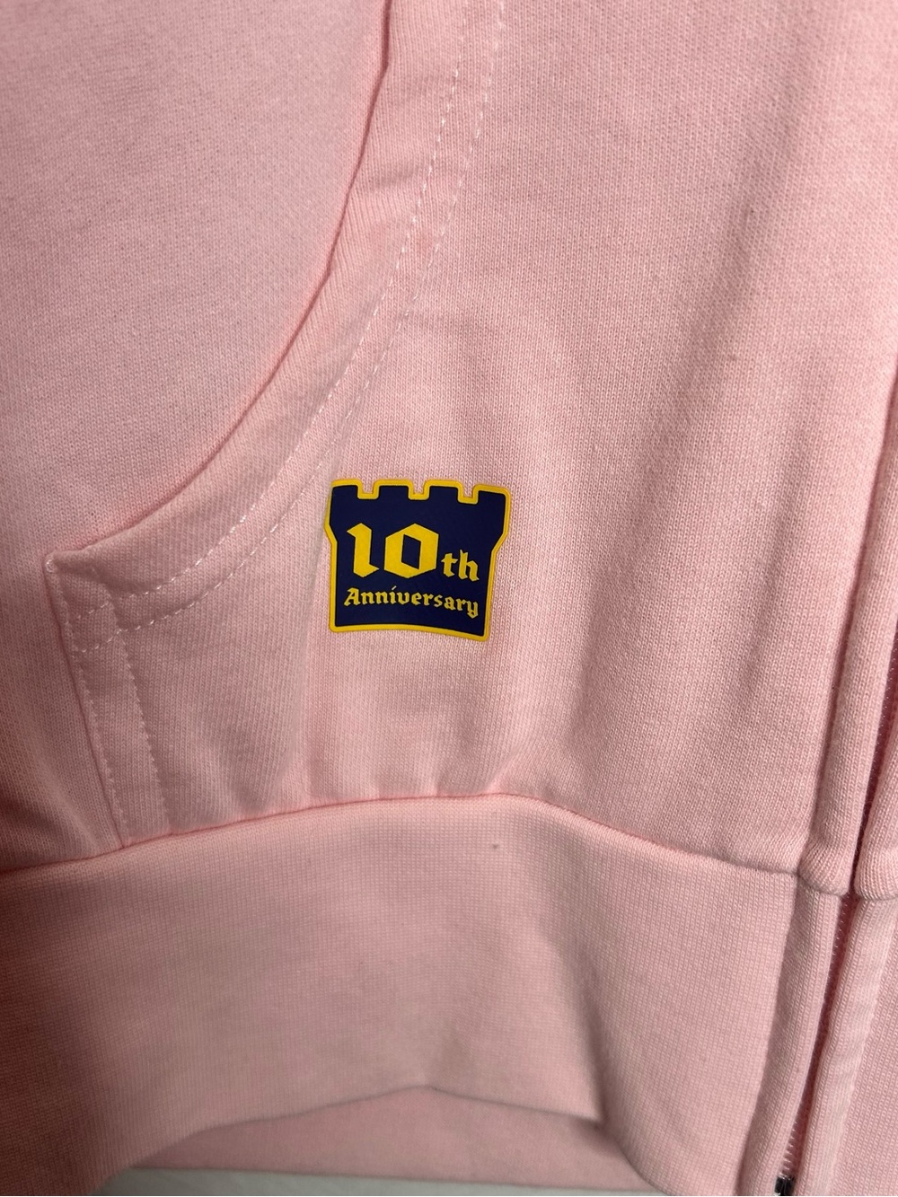 Disney runDisney Two Course Challenge 2025 Pink Zip Hoodie Size M - Picture 5 of 7